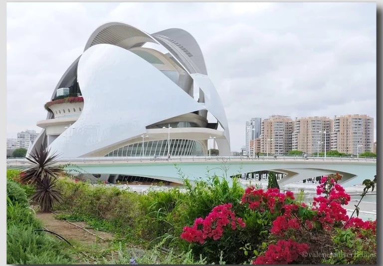Àgora, Palacio de Las Artes Reina Sofía, Valencia