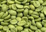 green coffee beans