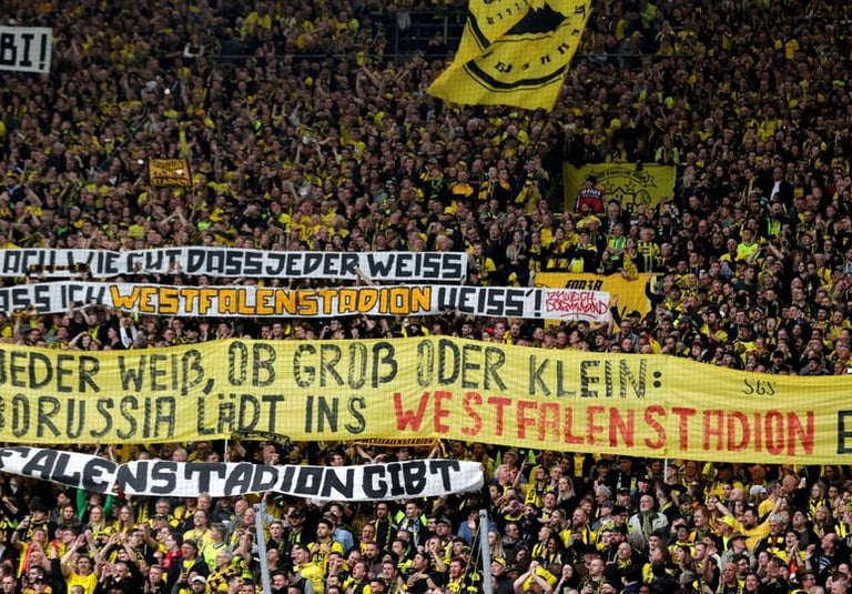 Fan BVB