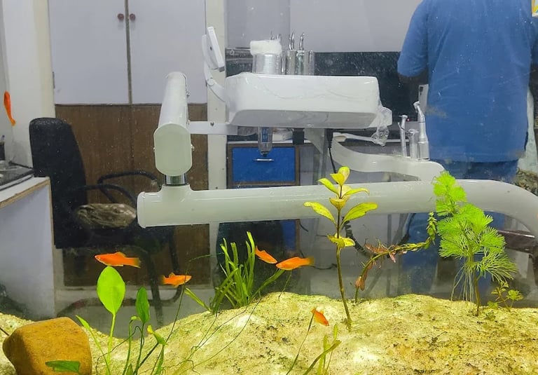 the white dental practice mankapur nagpur dental chairs aquarium
