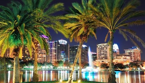 orlando city skyline with palm trees and buildings
