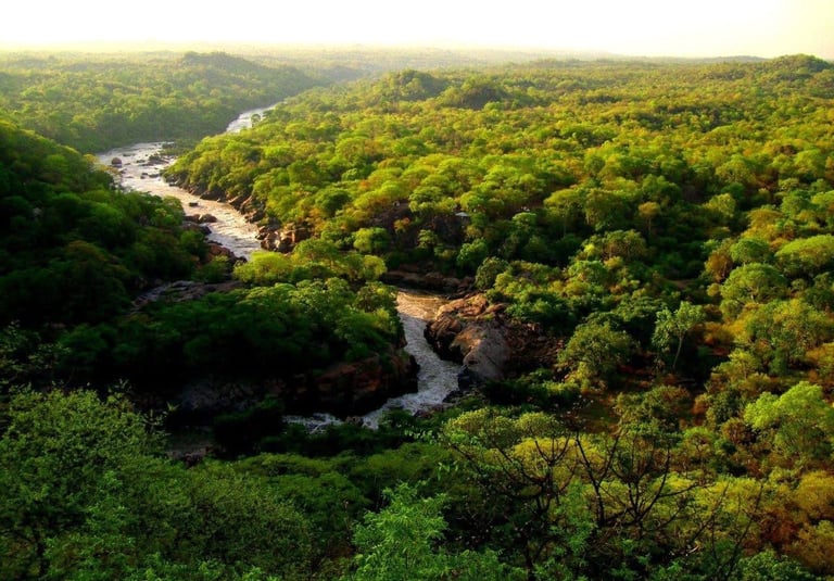 Mpatamanga Wildlife Ranch - Ian Bartlett - The Real Crocodile Hunter