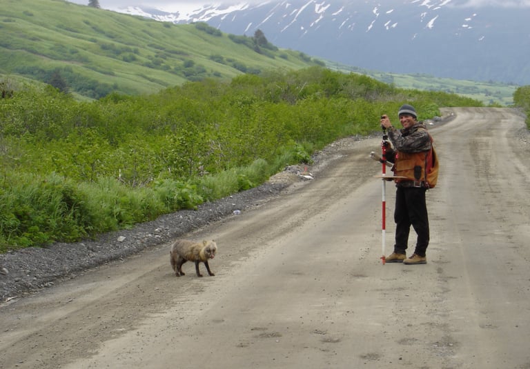 property borders, land surveying, northwest