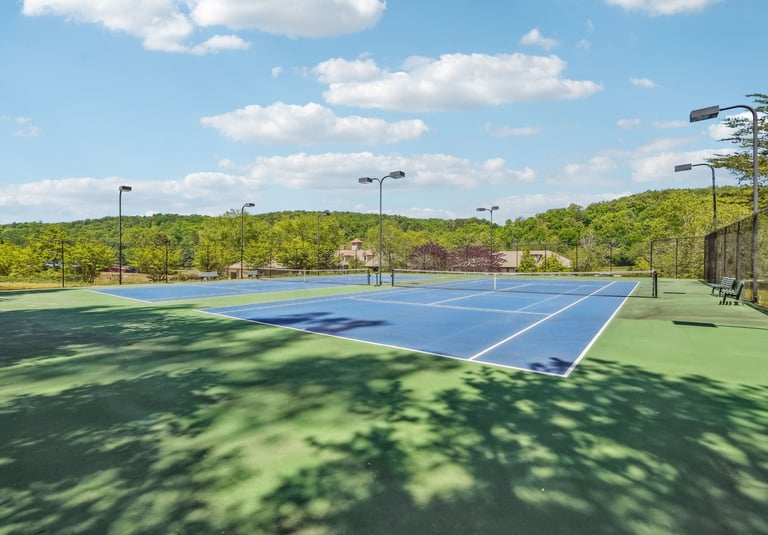 Achasta Pickleball