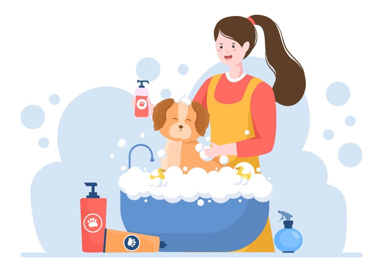Dog Grooming at Home, Qatar