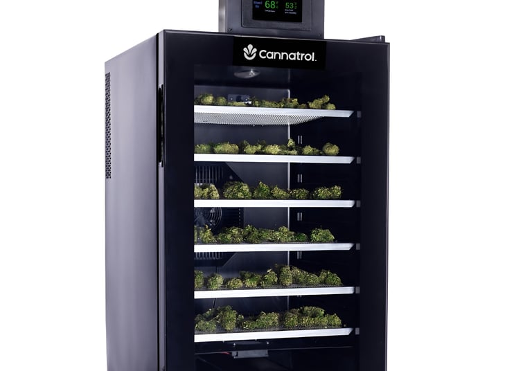 a refrigerator with a bunch of broccoli growing in it