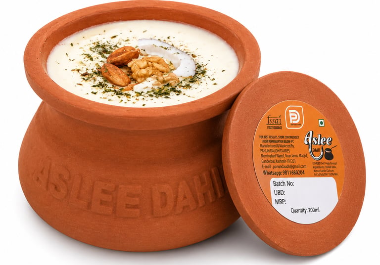 Aslee Matka Dahi fresh yogurt served in a traditional clay pot topped with almonds and walnuts.