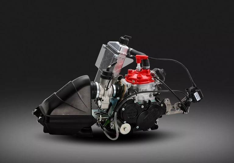 rotax 125 max senior evo