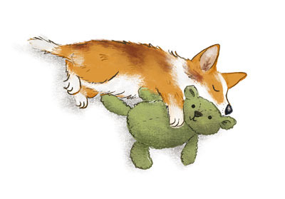 Illustration of a corgi hugging a green teddy