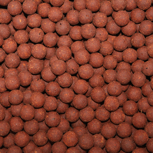 Boiliai karpiams