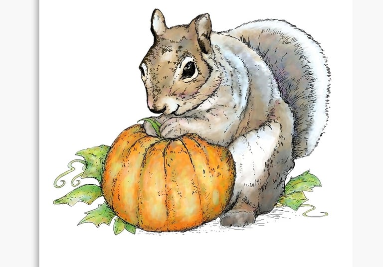 Illustration of a squirrel with a pumpkin