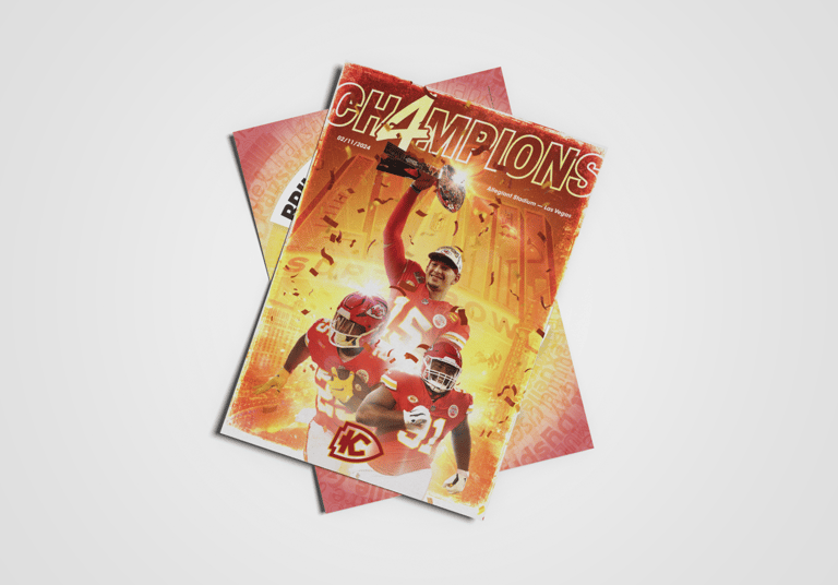 présentation de l'affiche folio où l'ont peut trouver un florilège de plusieurs de mes affiches