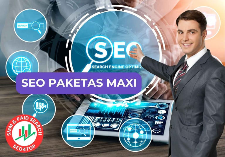 SEO paslaugos paketas MAXI