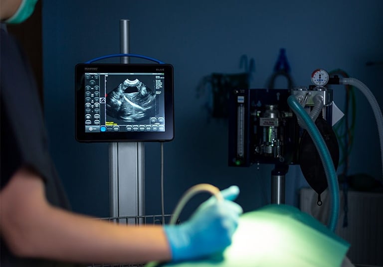 Ecografo veterinario