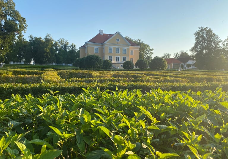 Palmse Mois (chateau) - Estonie