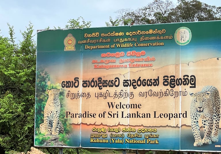 Yala National Park