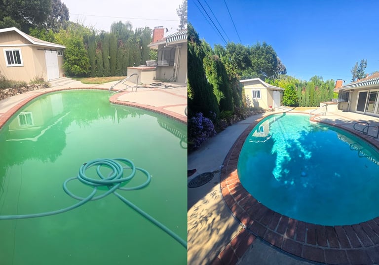 Before-and-after pool images showing green algae cleanup and transformation into a sparkling clean pool by Piscus Pools.