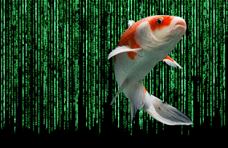 Breaking Free from the Martix