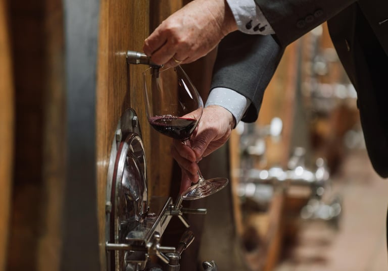 50 оттенков вина - nvwine.fr