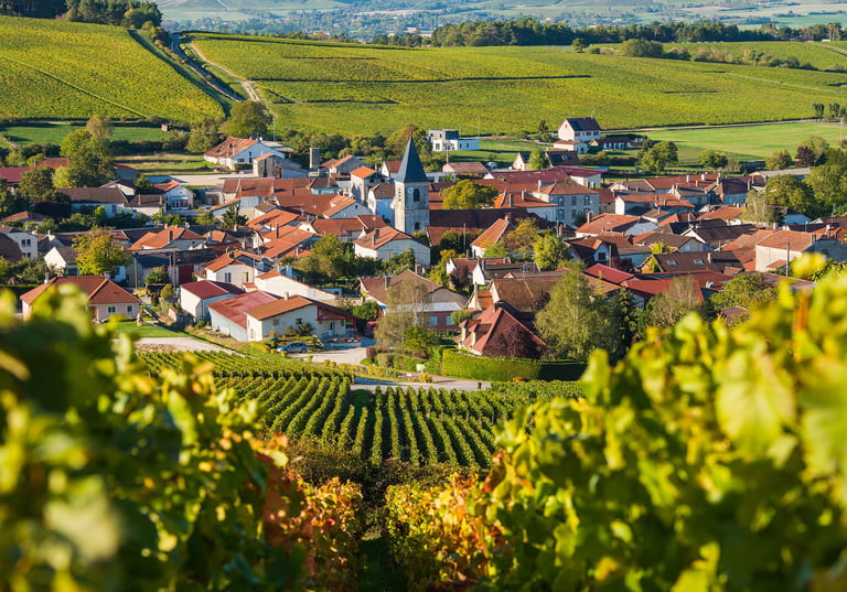 10 удивительных фактов о шампанском - nvwine.fr