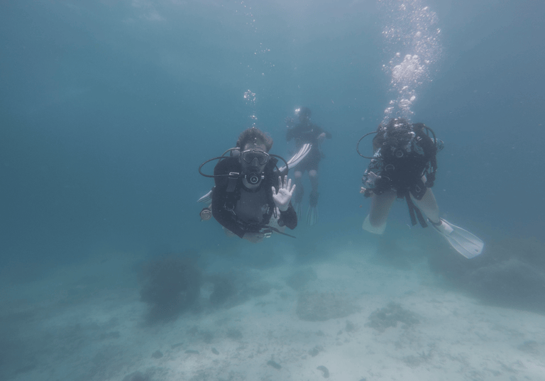 Open Water Divers