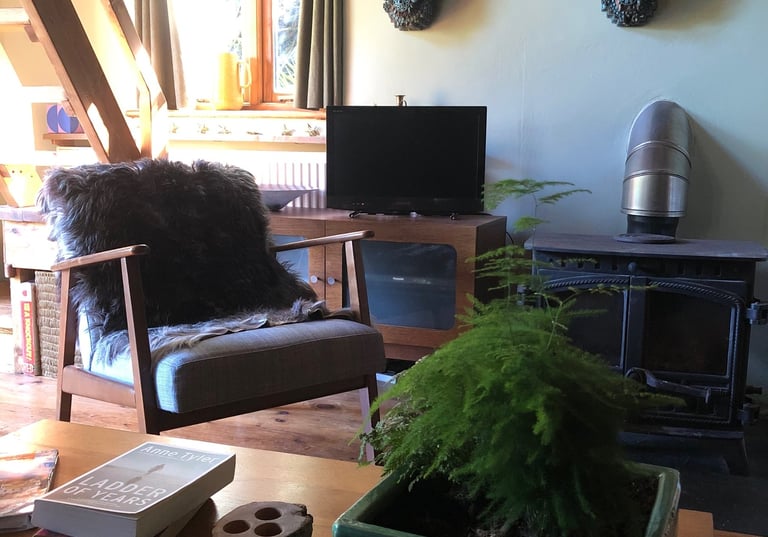 Woodburner with an armchair and coffee table and plant
