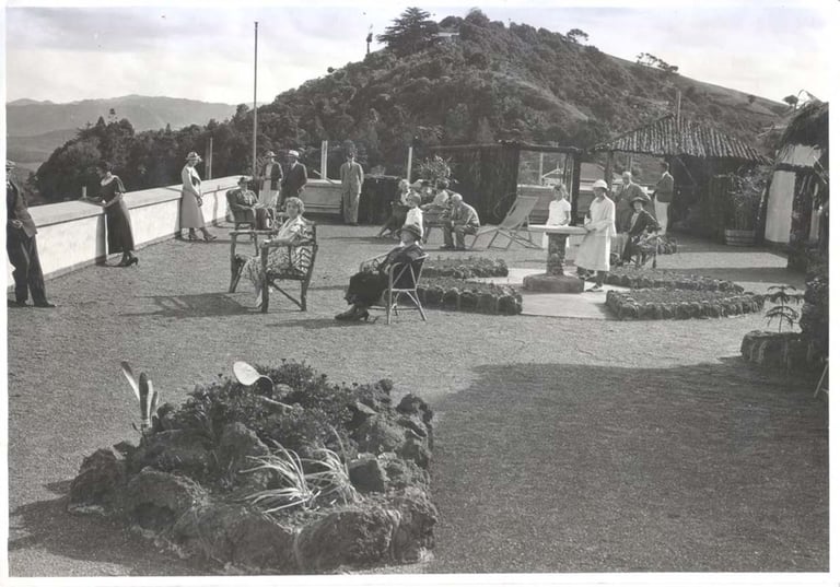 Titirangi Hotel rooftop garden.
