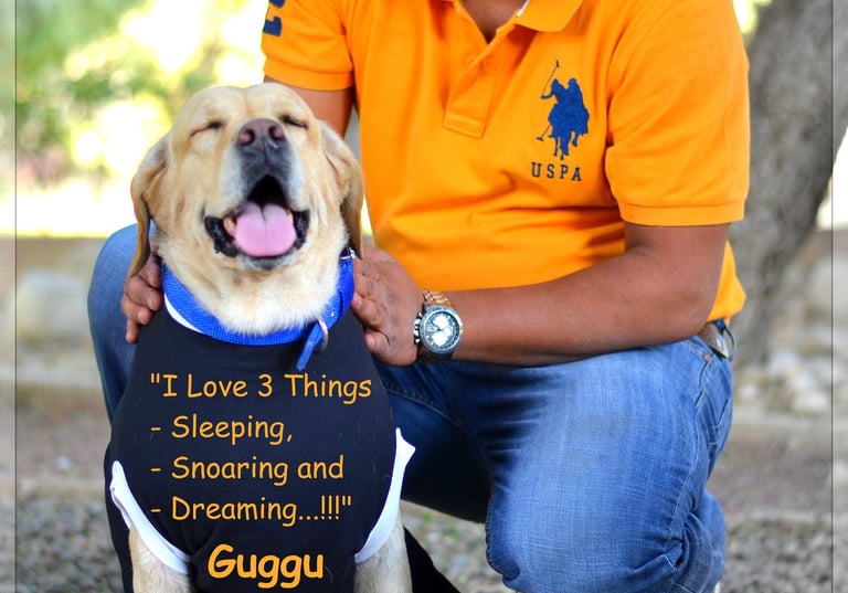 Dog Boarding, Dog Boarding near me, Pet Boarding, Pet Boarding near me, Dog Care, Happy Pettings