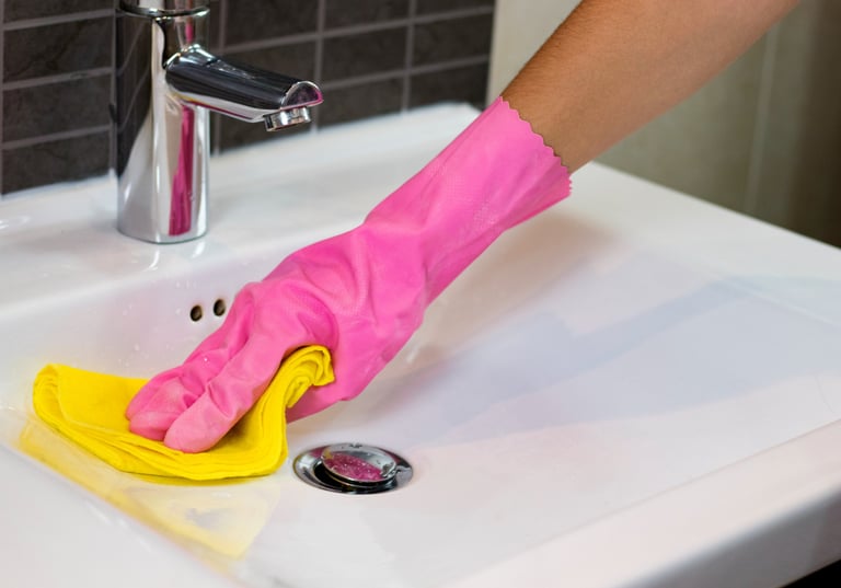 Sanitärreinigung