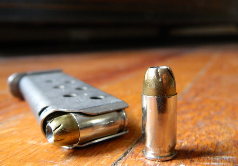 .380 magazine with defense round ammo