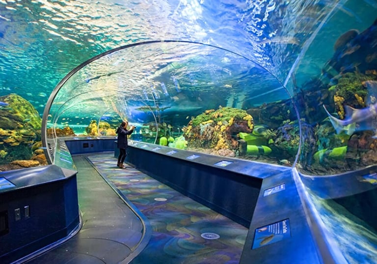 Ripleys Aquarium Shark Tunnel, supports and metal work done by Pengelly