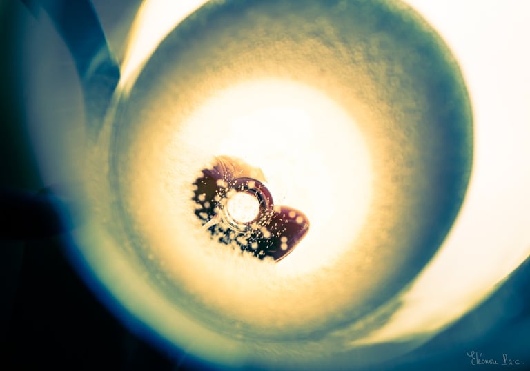 Abstraction Vinicole – Tourbillon de lumière au fond du verre, bulles en suspension