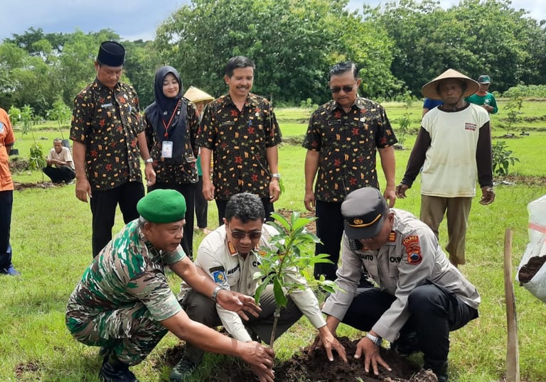 demontrasi penanaman alpukat
