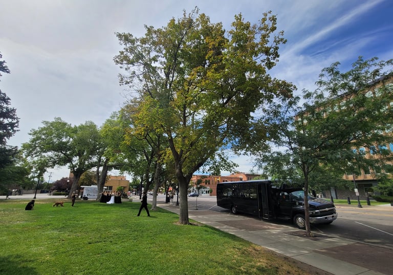 Party bus wedding event transportation