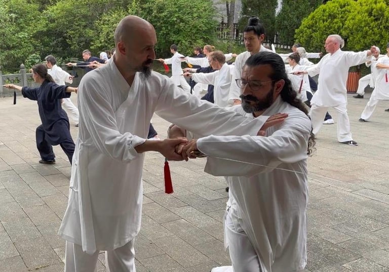 Ismet Himmet guiding Mehmet Başkak during a Tai Ji form correction at an outdoor group training.