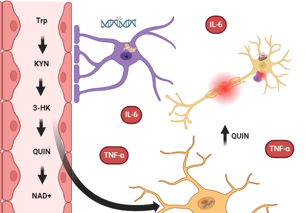 Hipótesis de neurodegeneración en Esclerosis Múltiple Progresiva