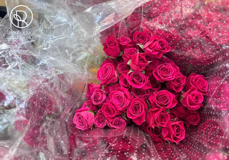 distribuidora de flores armenia