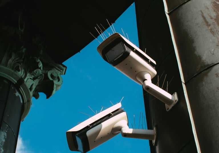 Servicio de Seguridad Electrónica