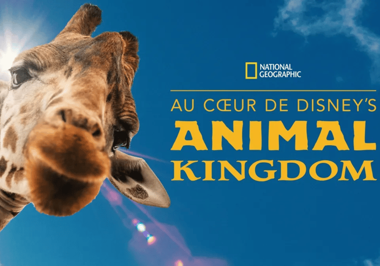 au coeur d'animal kingdom
