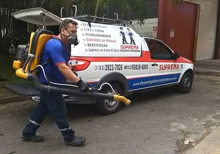 dedetização