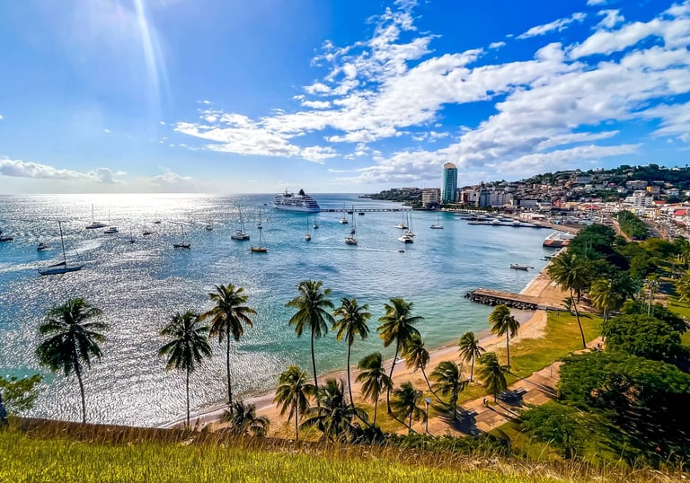 fort de france martinique