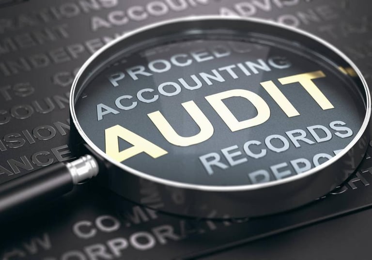 audit service provided by Chartered accountants kochi