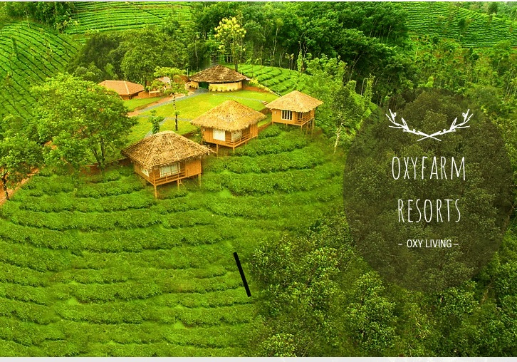Oxyfarm Resorts, Mylettumala, Periya, Mananthavady