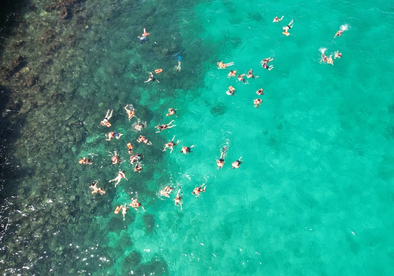 a group of people swimming in the ocean catalina island punta cana