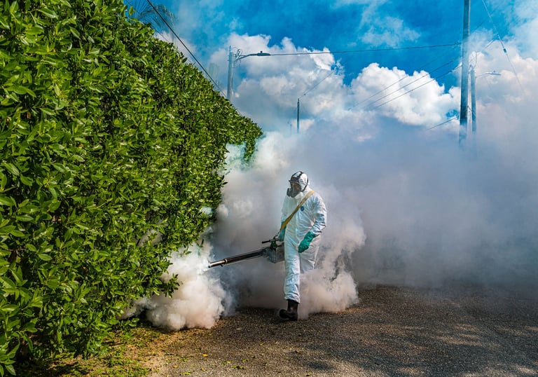Odkomarzanie oraz odkleszczanie Śląsk - Zwalczanie komarów, kleszczy meszek oraz wiele innych owadów