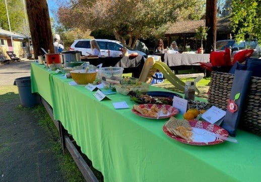 Outdoor picnic buffet table