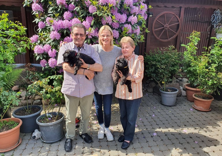 Eleveur avec des chiots Schnauzer dans un jardin
