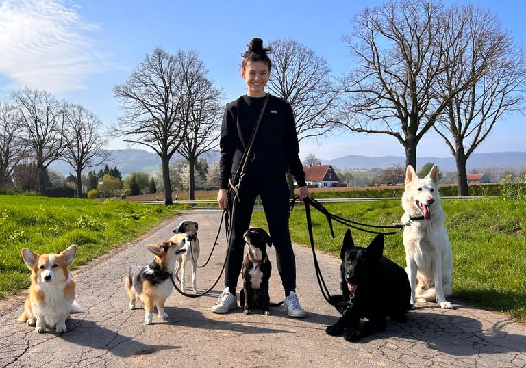 Nella mit 6 Hunden beim Dogwalking
