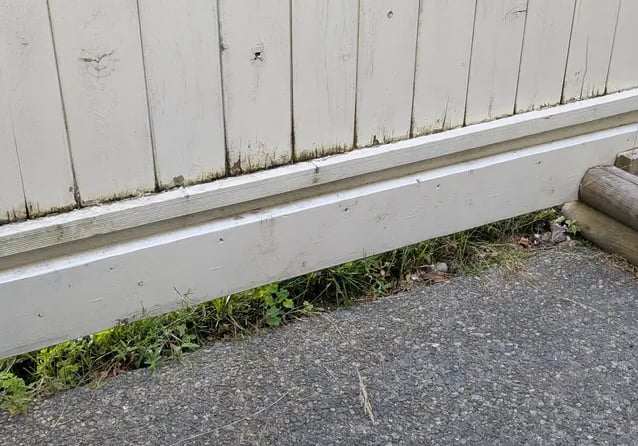 Old fence needing cleaning and repainting