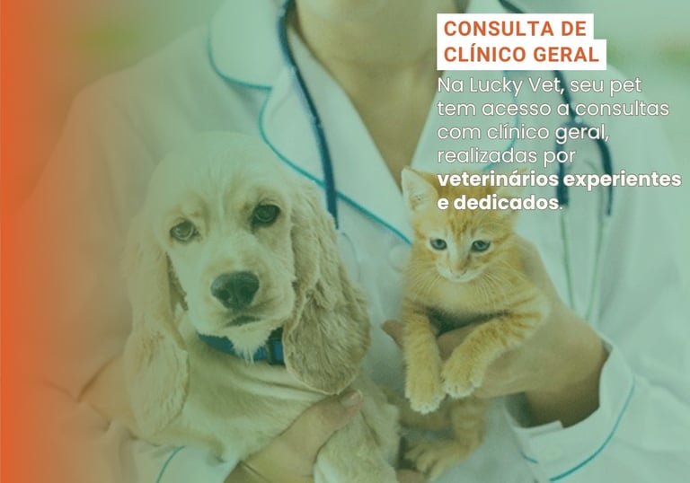 Clínica Geral Veterinária é na Lucky Vet, Pet Shop e Clínica Vererinária na Zona Norte de São Paulo